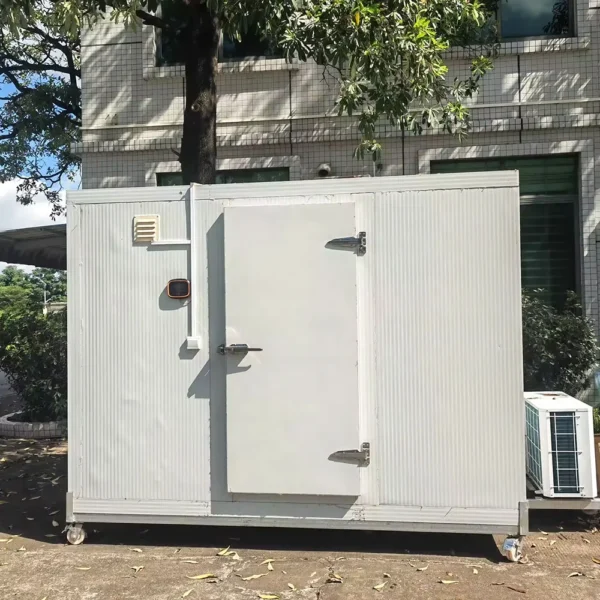 10Ft Cold Room with Refrigeration Unit Pu Panel