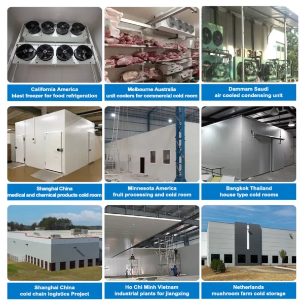 10Ft Cold Room with Refrigeration Unit Pu Panel
