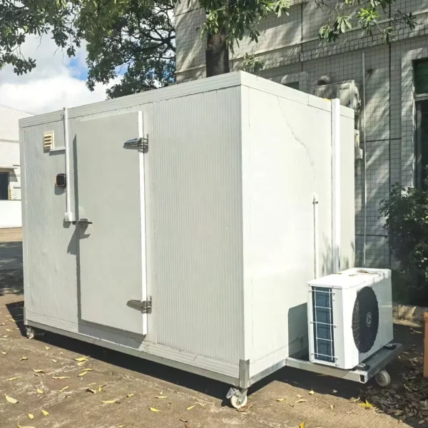 10Ft Cold Room with Refrigeration Unit Pu Panel