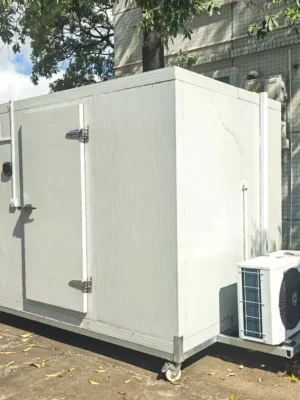 10Ft Cold Room with Refrigeration Unit Pu Panel